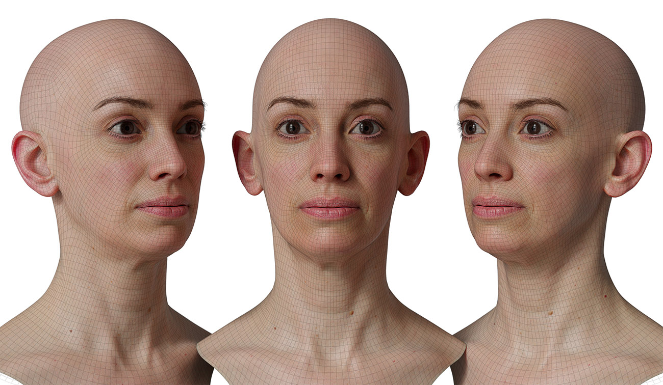 head model wireframe mesh